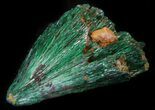 Silky, Fibrous Malachite Crystals - Morocco #42010-1